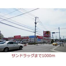 ドラックストア