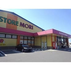 ドラックストア