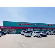 ドラックストア