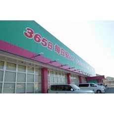 ドラックストア