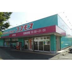 ドラックストア