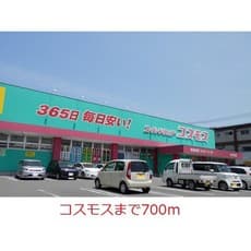 ドラックストア