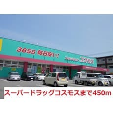 ドラックストア