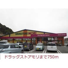 ドラックストア