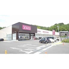 ドラックストア