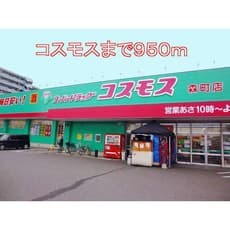 ドラックストア