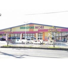 ドラックストア