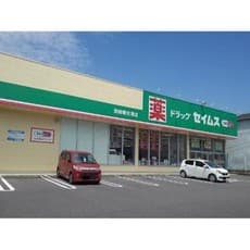 ドラックストア
