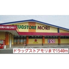 ドラックストア