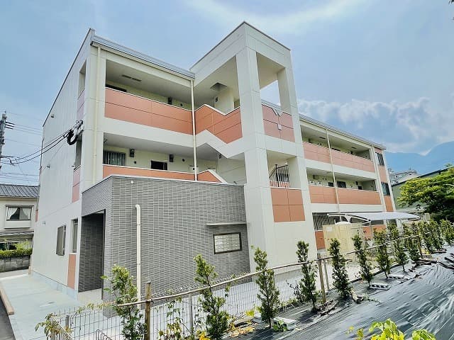 庵樹2