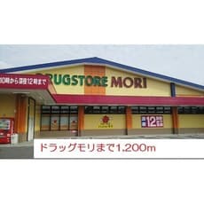 ドラックストア