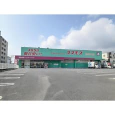 ドラックストア