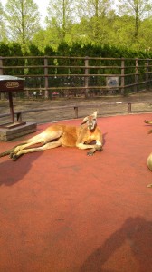 s DSC 0020 168x300 はじまりはいつも雨