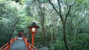 DSC 0502 300x168 【大分駅上野の森口支店】　オオイタヲ、シル